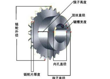 鏈輪示意圖